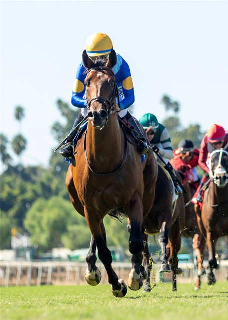 Hit the Road all business in winning $100,000 Zuma Beach Stakes by 2 ¼ lengths under Espinoza