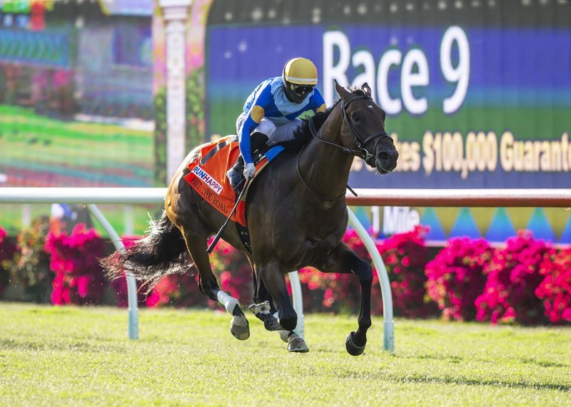 Hit The Road scores impressively on opening day at Del Mar