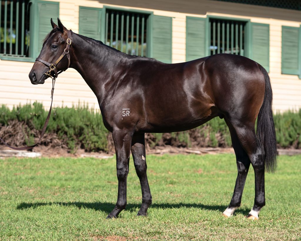 Boomer and HKJC uphold buying strength at virtual Inglis Easter Sale