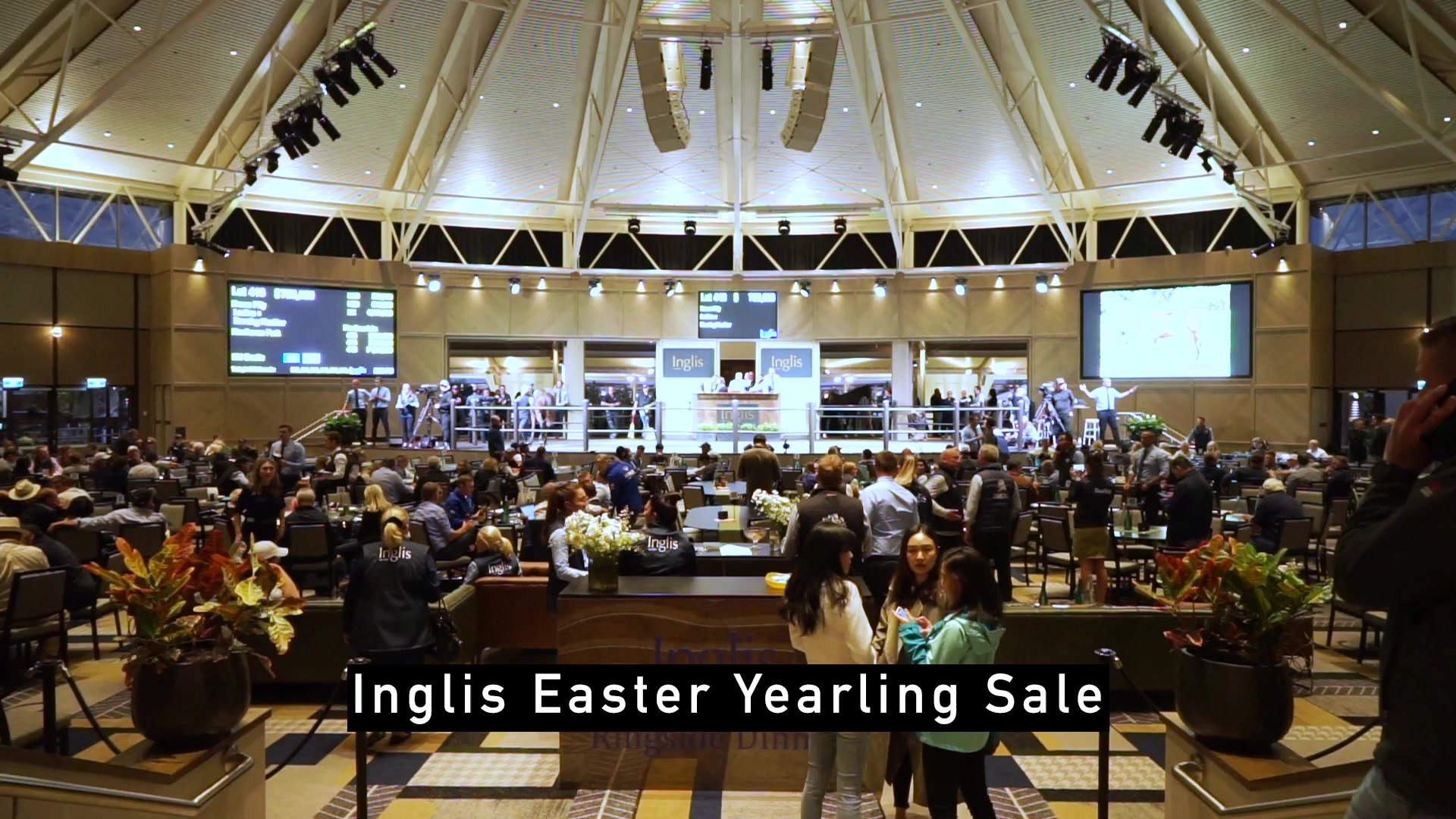 Inglis Easter Yearling Sale wrap
