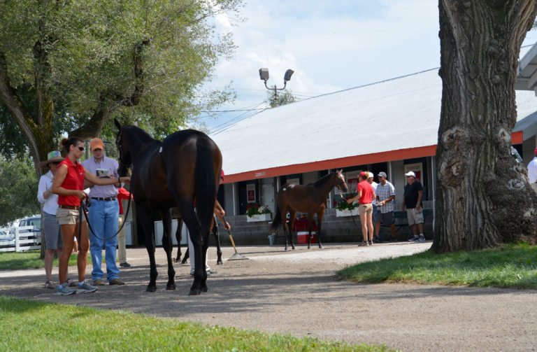 Tackling Keenland September