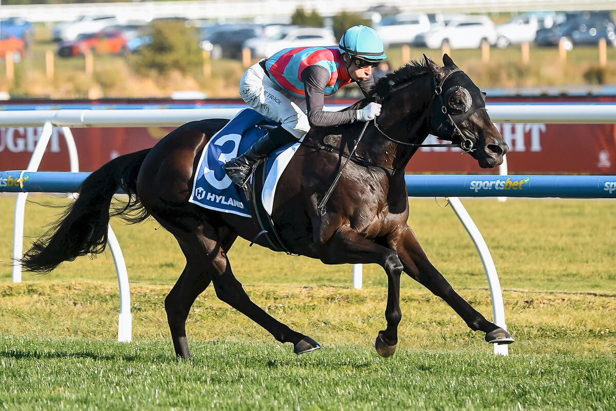 Antino (NZ) ridden by Blake Shinn wins the Hyland Race Colours Toorak Handicap at Caulfield Racecourse on October 12, 2024 in Caulfield, Australia. Boomer Bloodstock