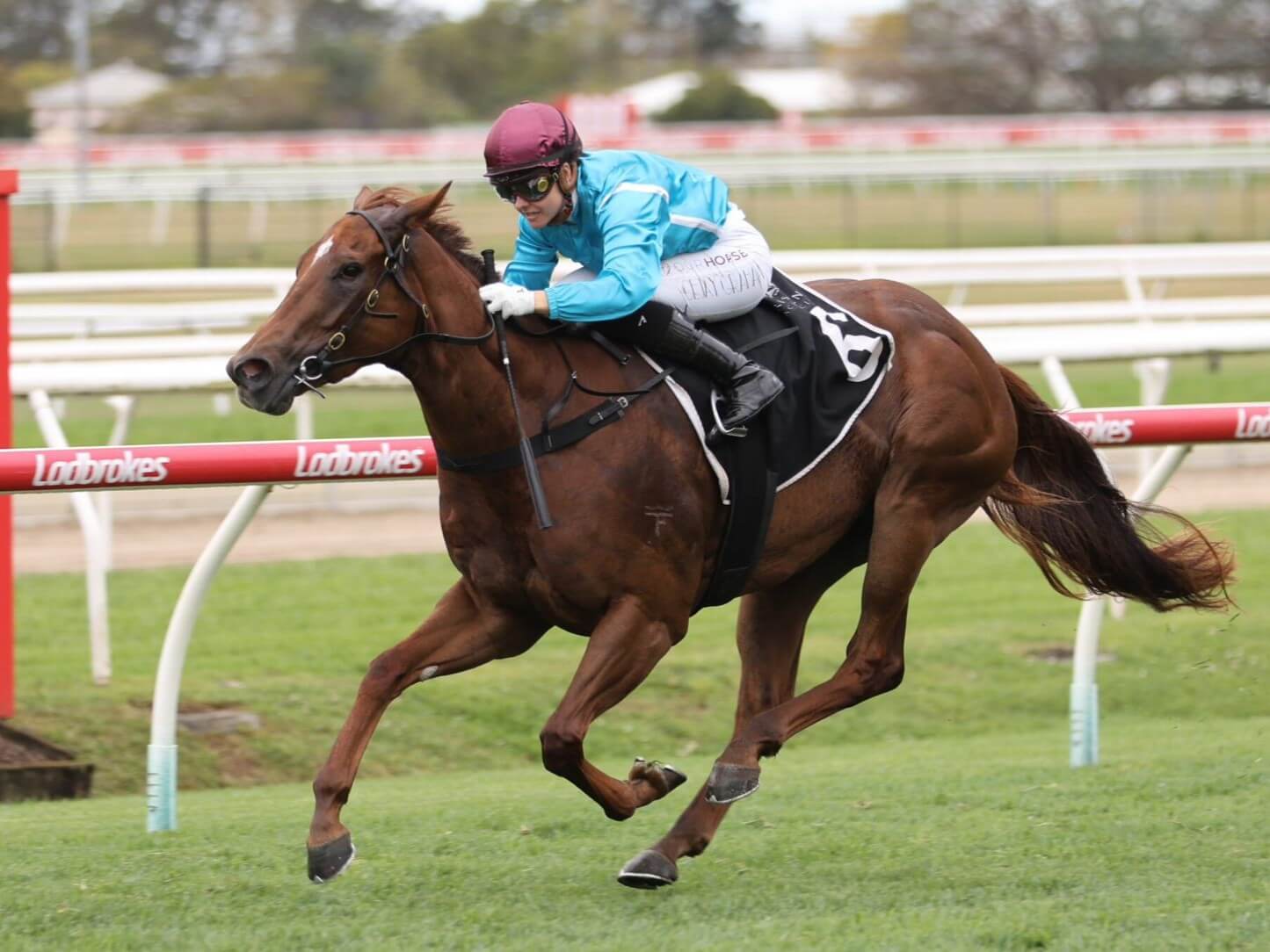 Foreign Press Claims Stakes Victory in Mode Plate