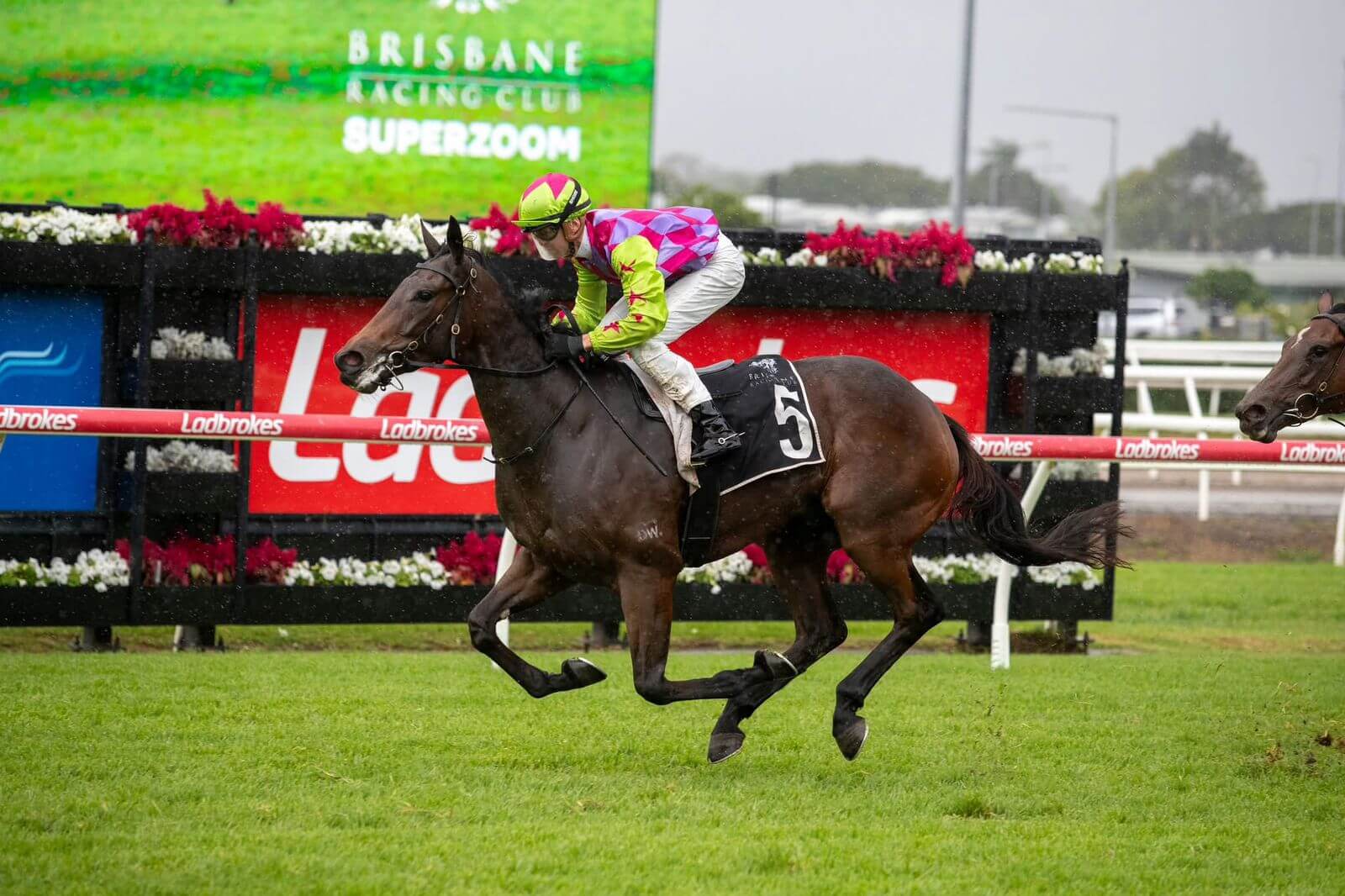 Boomelli Wins the Listed Calaway Gal at Eagle Farm